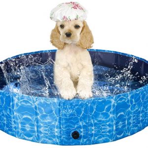 Dog Pools | Pet Paddling Pool Tub for Large Dogs | Dog Swimming Pool