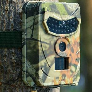 Hunting Trail Camera Hunting Photo Traps Wildlife