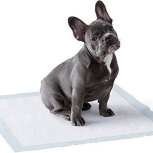 Amazon Basics Pet Training Pads, Regular