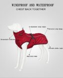 Dog Outdoor Jacket Waterproof Dog Clothes Vest Winter Warm Cotton Dogs Clothing for Large Middle Dogs Labrador red black