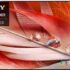 The Best 10 Prices & Where To Buy LG 4k Monitor Our Top Picks